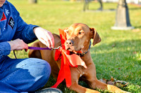 © 2012 www.TommyJohnStudios.com