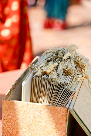 wedding_supreeta-tota_1032_LR