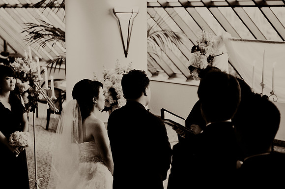 © 2012 www.TommyJohnStudios.com
